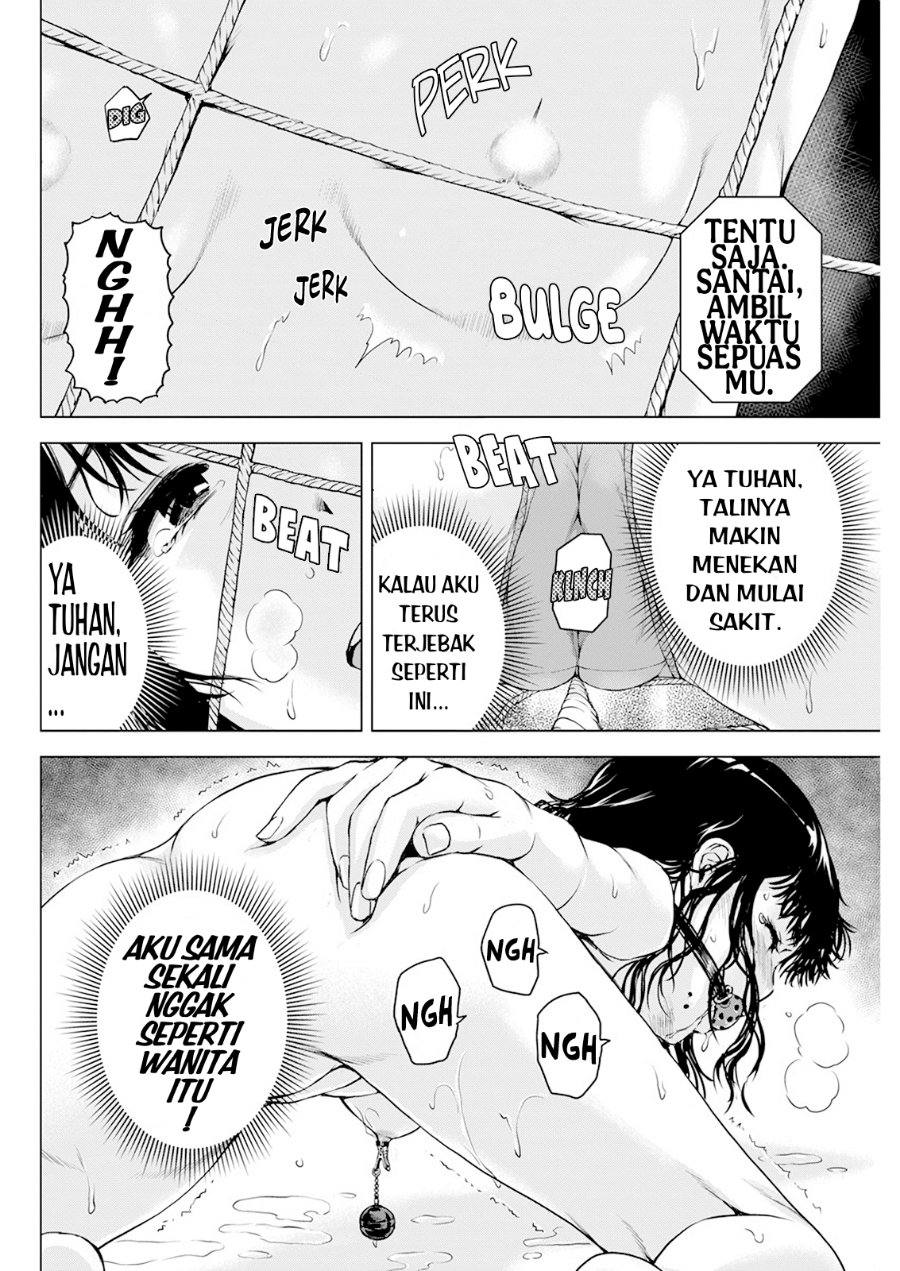 Halaman 17