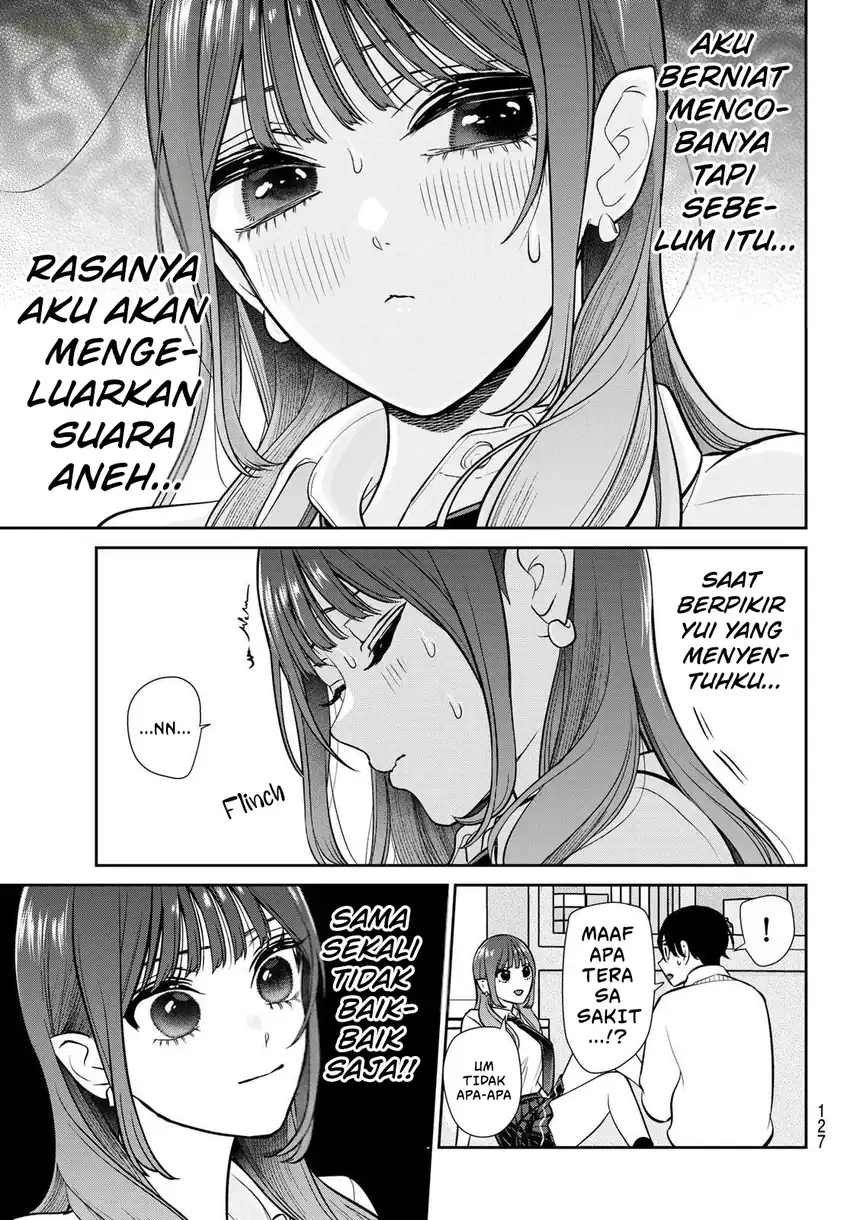 Halaman 17