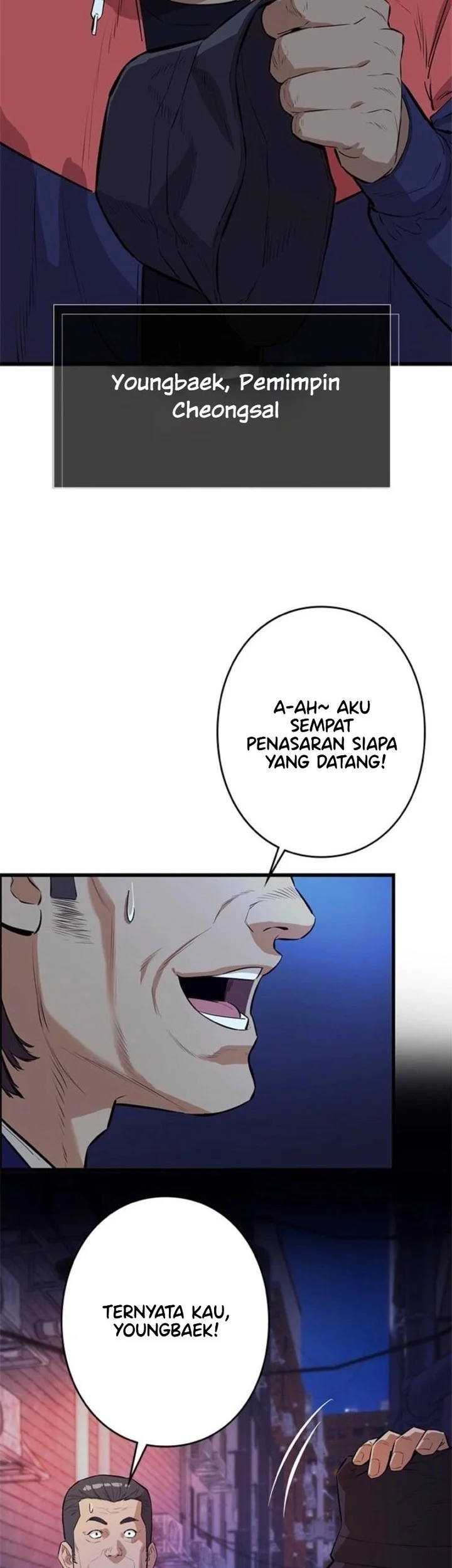 Halaman 46