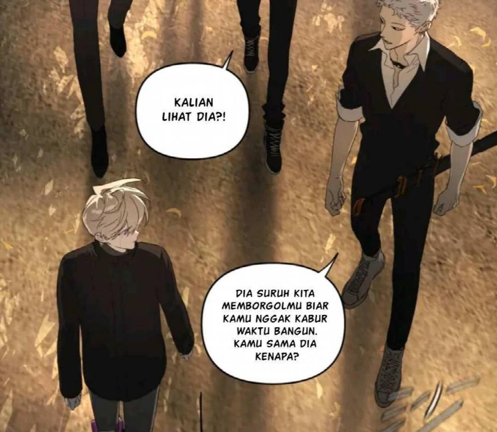 Halaman 247