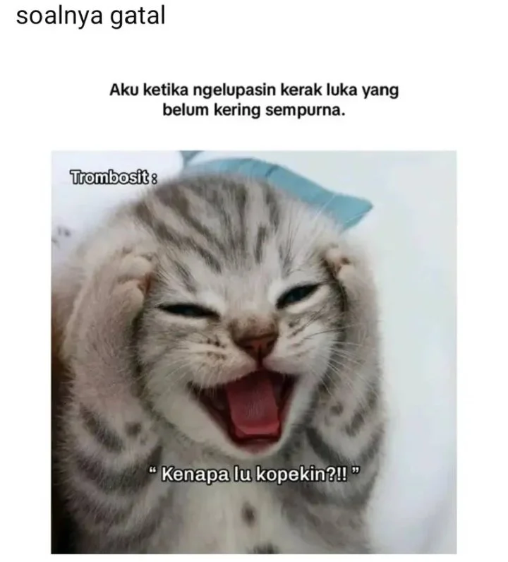 Halaman 64