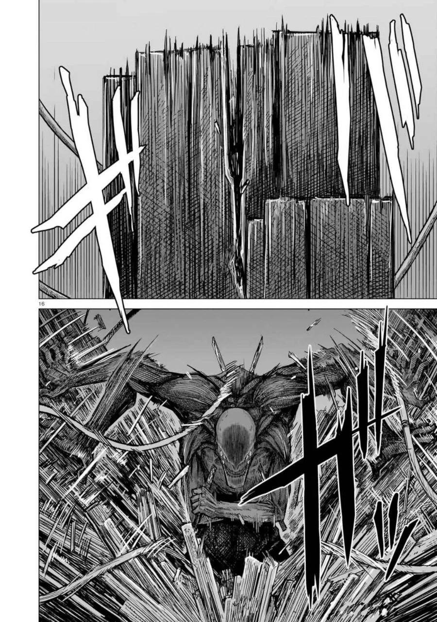 Halaman 17
