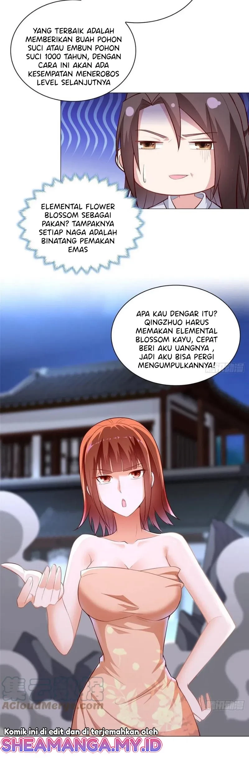Halaman 17