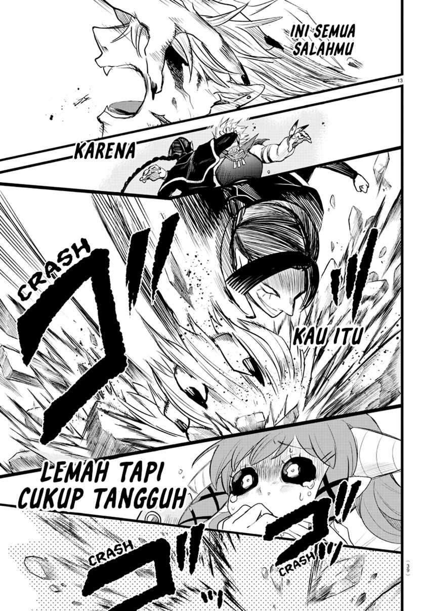 Halaman 14