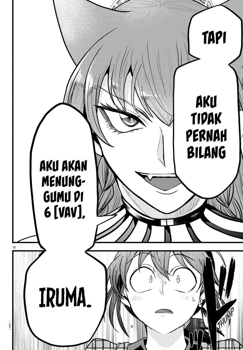 Halaman 17