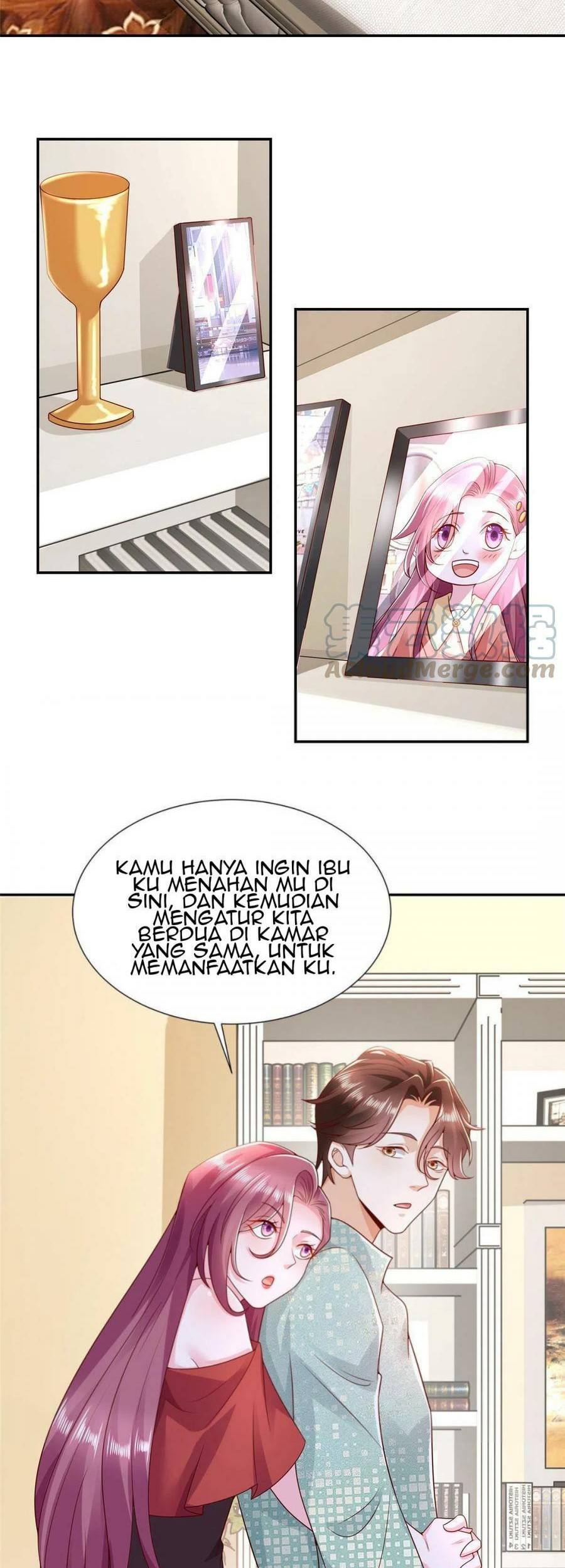 Halaman 17