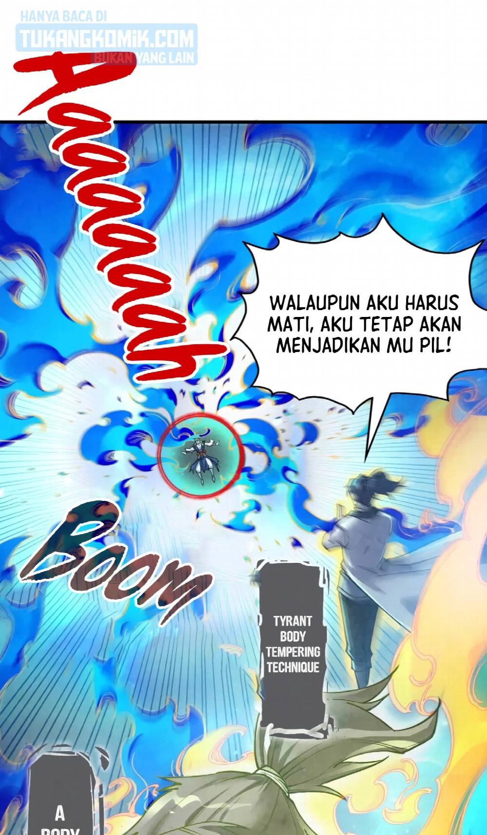 Halaman 17