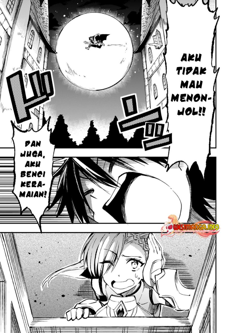 Halaman 17