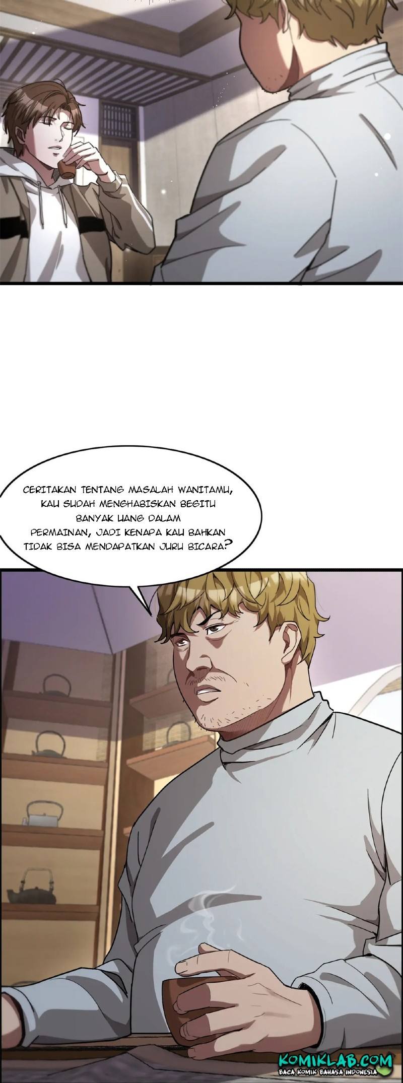 Halaman 17