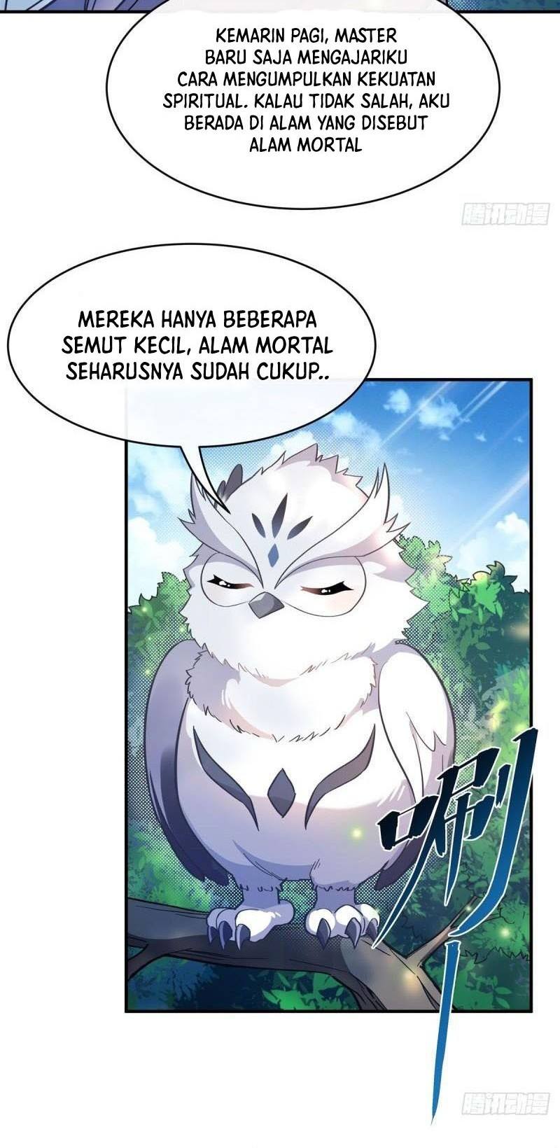 Halaman 17