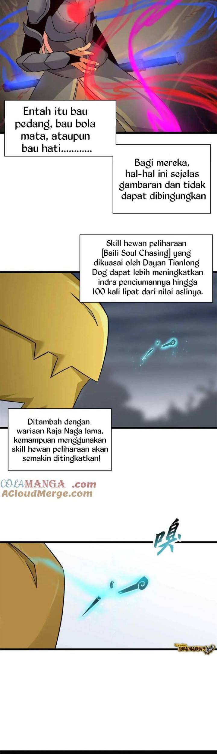 Halaman 17