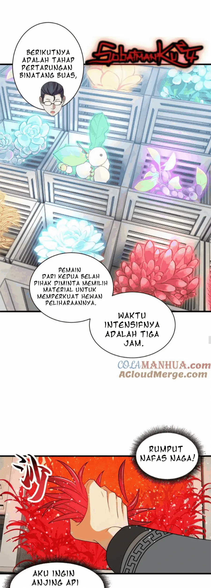 Halaman 25