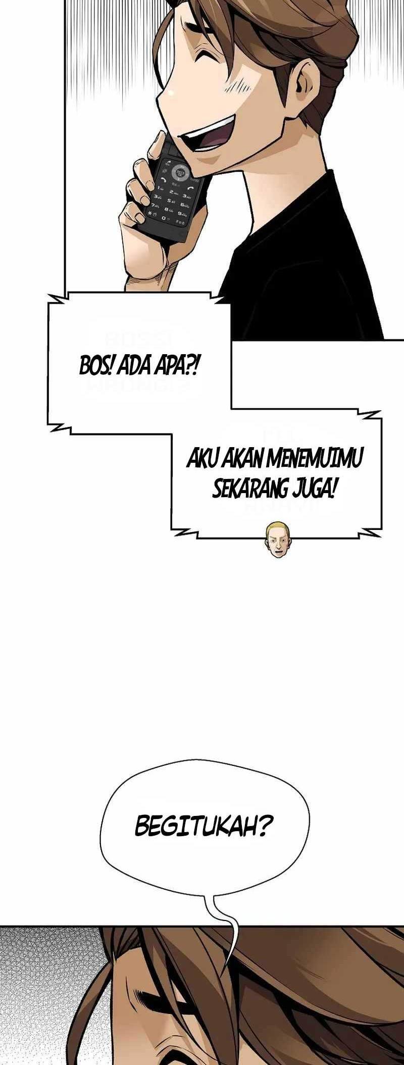 Halaman 43