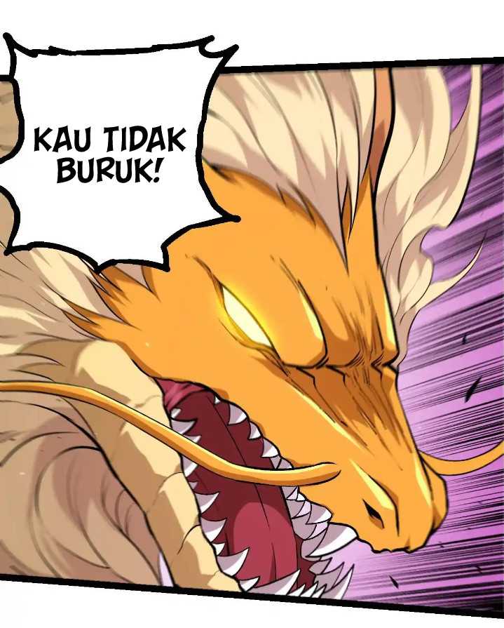 Halaman 51