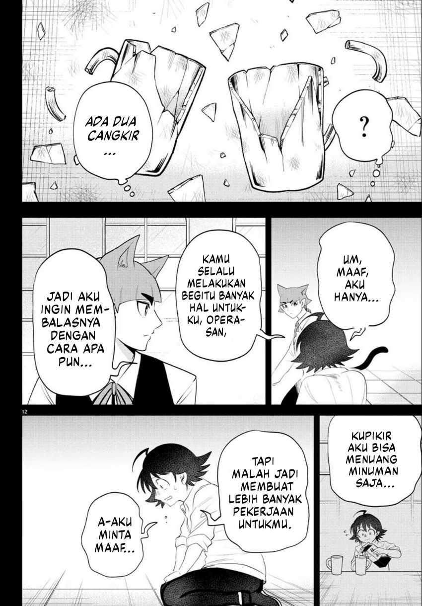 Halaman 13