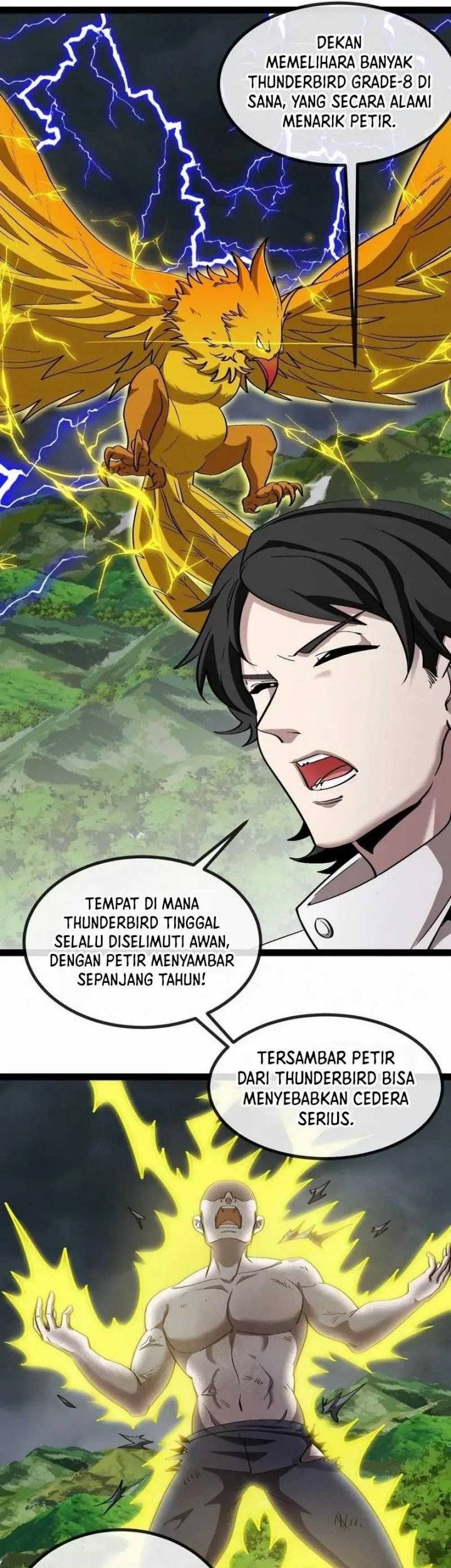 Halaman 17