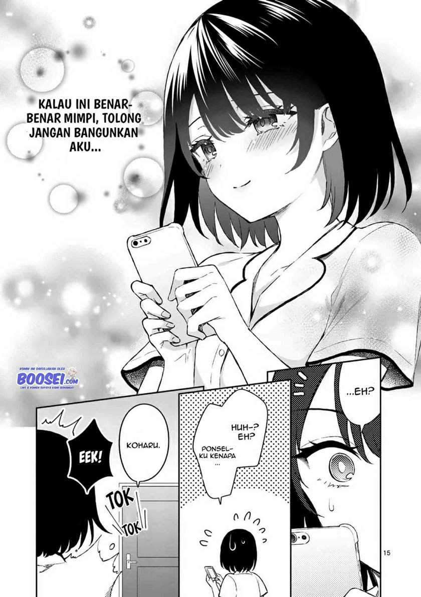Halaman 17